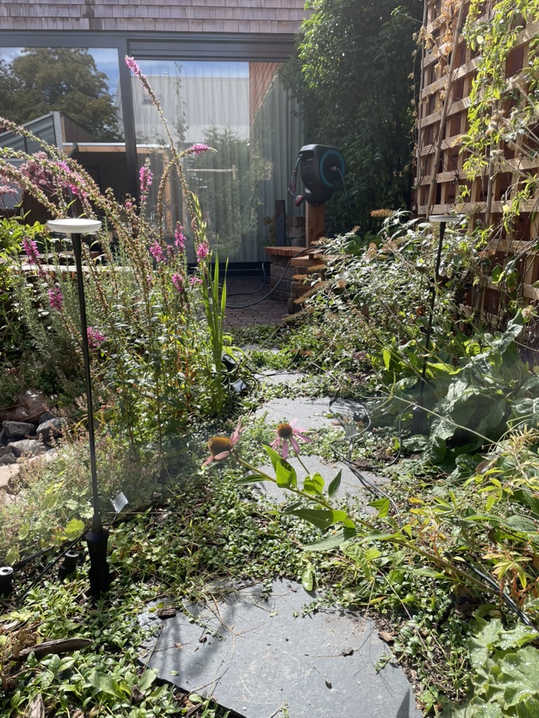 Natuurlijke tuinen