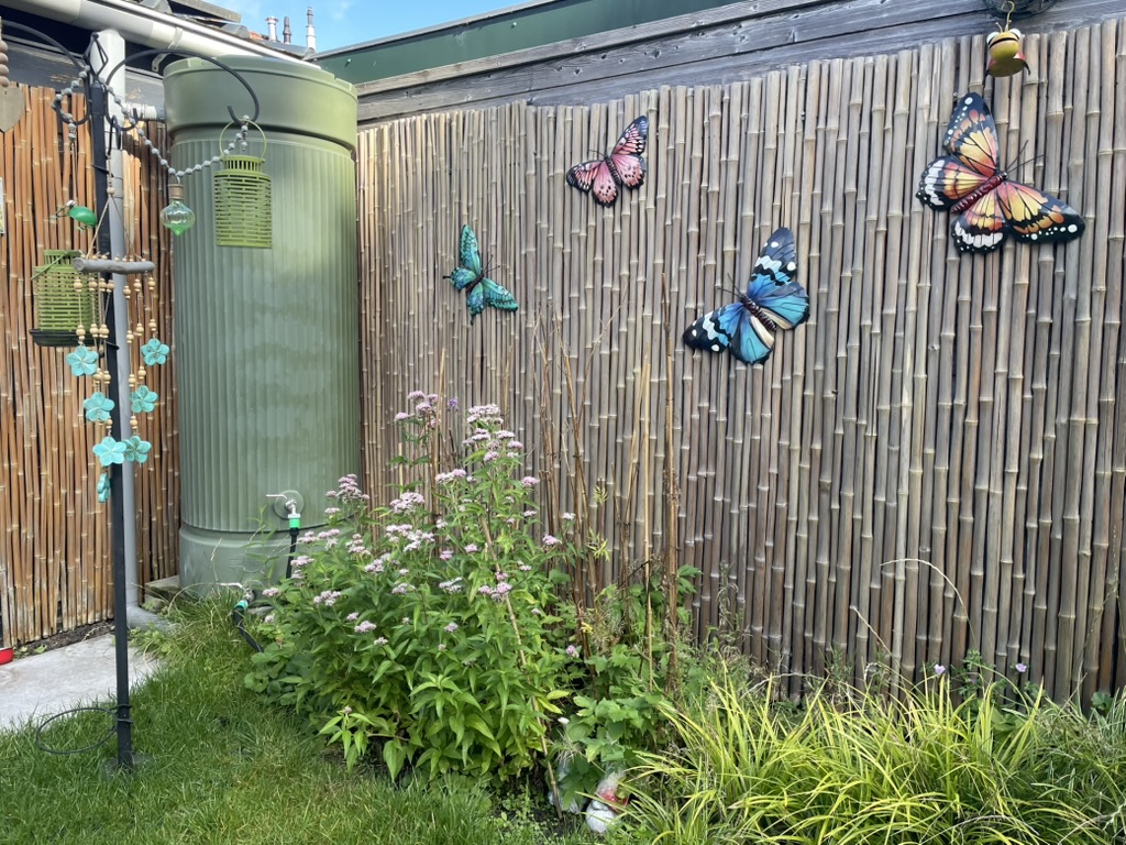 Groene regenton met vlinderdecoratie tegen bamboeschutting
