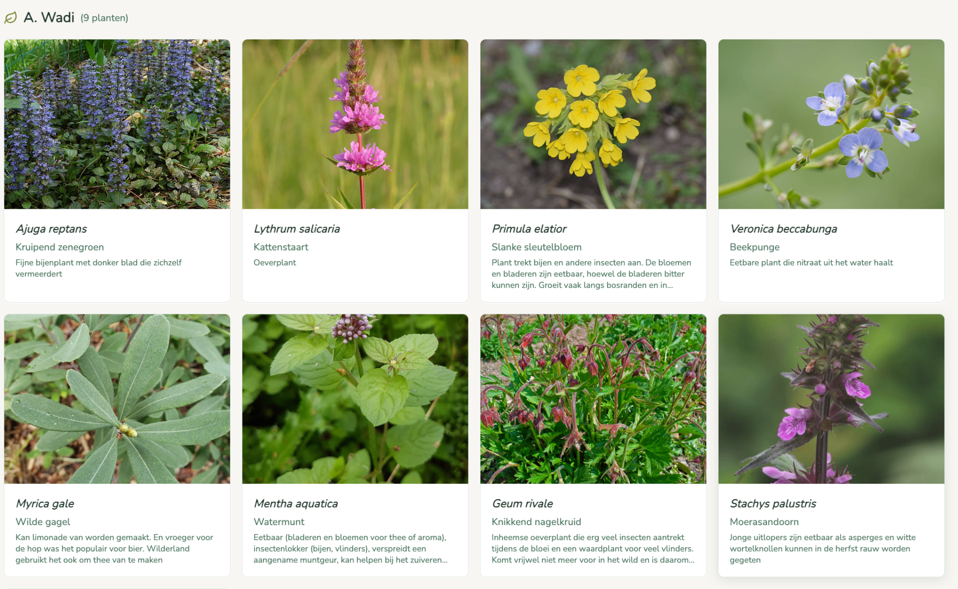 Screenshot van het overzicht met planten in de Plantdesigner