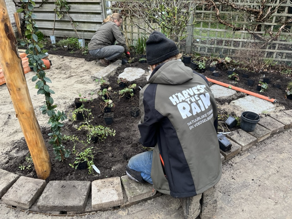 Twee teamleden in Harvest the Rain-jas planten samen een border aan
